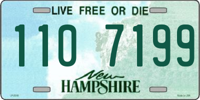 NH license plate 1107199