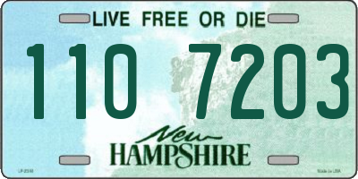 NH license plate 1107203