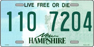 NH license plate 1107204