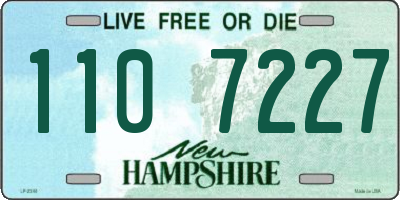 NH license plate 1107227