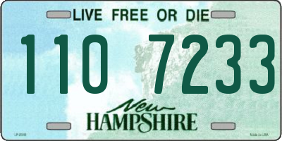 NH license plate 1107233