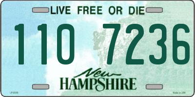 NH license plate 1107236