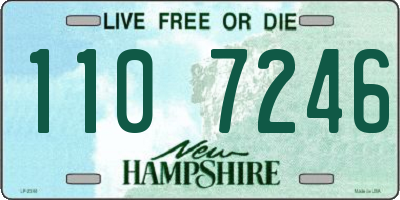 NH license plate 1107246