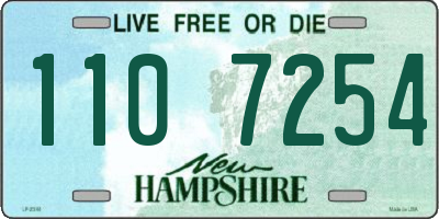 NH license plate 1107254