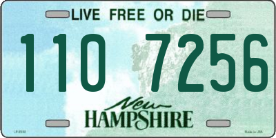 NH license plate 1107256