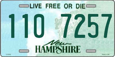 NH license plate 1107257