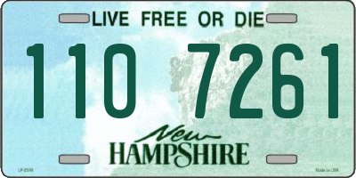NH license plate 1107261