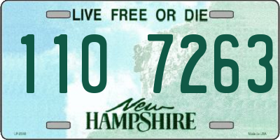 NH license plate 1107263