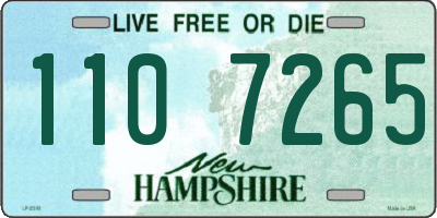 NH license plate 1107265