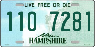 NH license plate 1107281