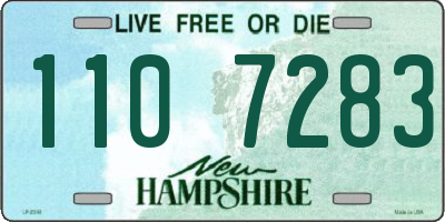 NH license plate 1107283