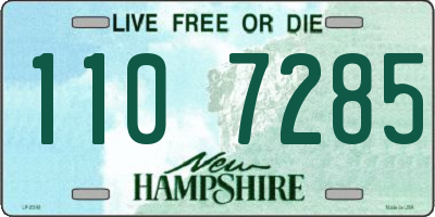NH license plate 1107285
