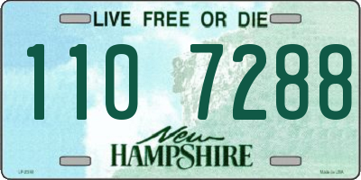 NH license plate 1107288