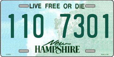 NH license plate 1107301