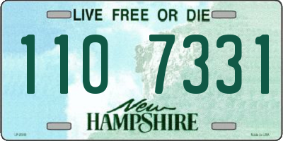 NH license plate 1107331
