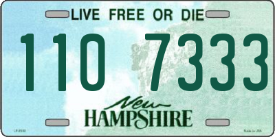 NH license plate 1107333