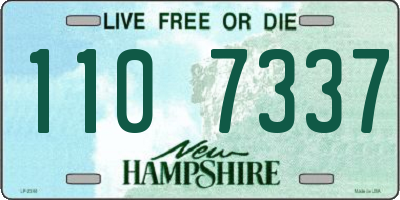 NH license plate 1107337