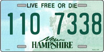 NH license plate 1107338