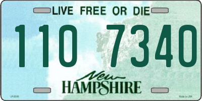 NH license plate 1107340