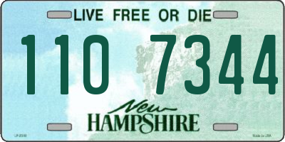NH license plate 1107344