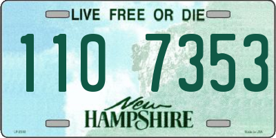 NH license plate 1107353