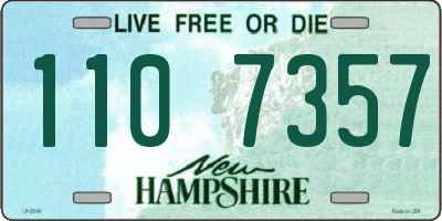 NH license plate 1107357