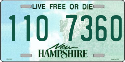NH license plate 1107360