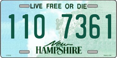 NH license plate 1107361