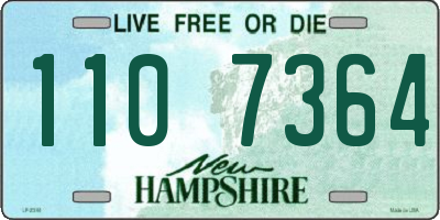 NH license plate 1107364