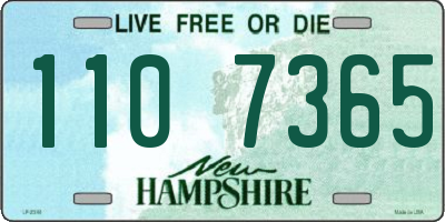 NH license plate 1107365