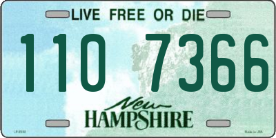 NH license plate 1107366