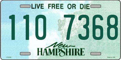 NH license plate 1107368