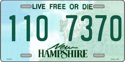NH license plate 1107370