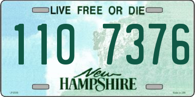 NH license plate 1107376