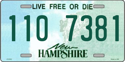 NH license plate 1107381