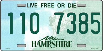 NH license plate 1107385