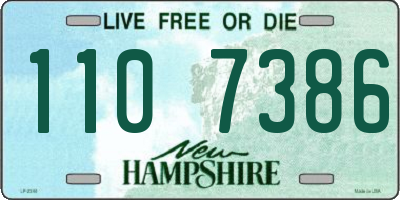 NH license plate 1107386