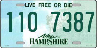 NH license plate 1107387
