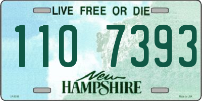 NH license plate 1107393