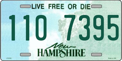 NH license plate 1107395