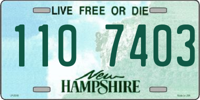 NH license plate 1107403