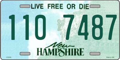 NH license plate 1107487