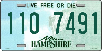 NH license plate 1107491