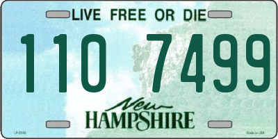 NH license plate 1107499