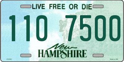 NH license plate 1107500
