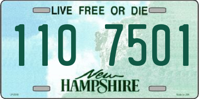 NH license plate 1107501