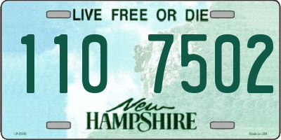 NH license plate 1107502