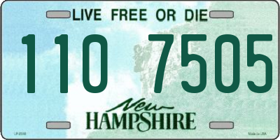 NH license plate 1107505