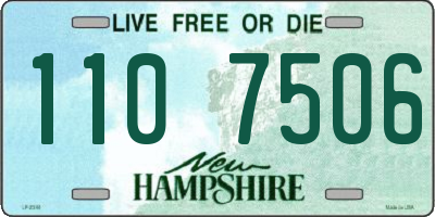 NH license plate 1107506