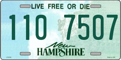 NH license plate 1107507
